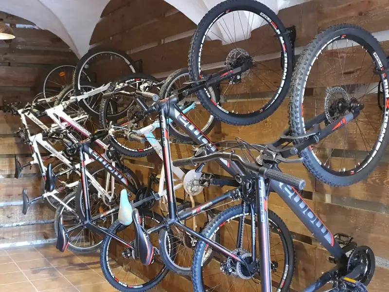 Bicicletas gratuitas en casa rural en Lleida ideal para grupos y familias